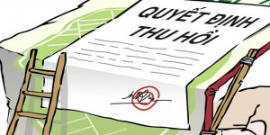 Xác định nguồn gốc quyền sử dụng đất để tính tiền bồi thường hỗ trợ khi Nhà nước thu hồi đất